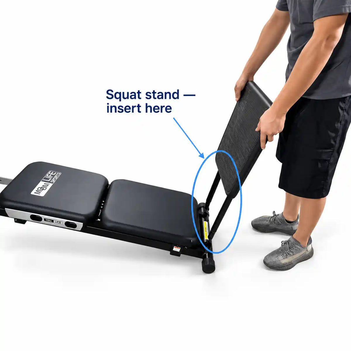 Squat Stand